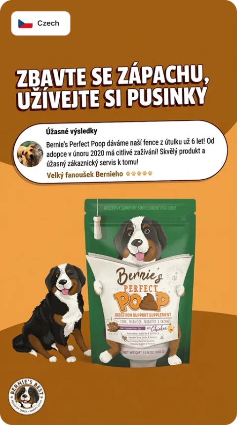 Localized ad creative — Czechia
